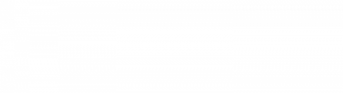 pitFM SMART